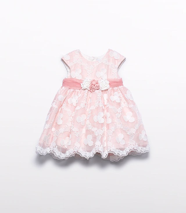 Organza Embroidered Dress 5009